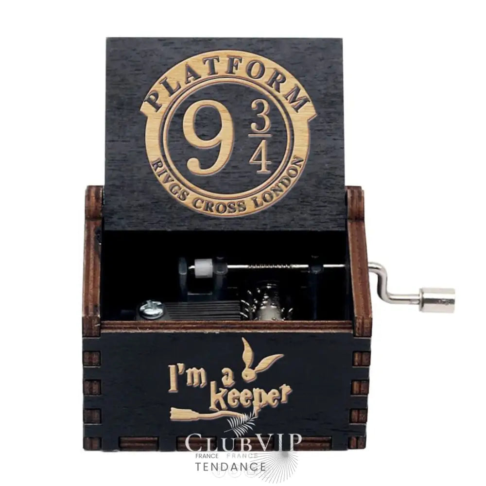 Boîtes à Musique En Bois Naturel | Cinéma Mangas Jeux Vidéos