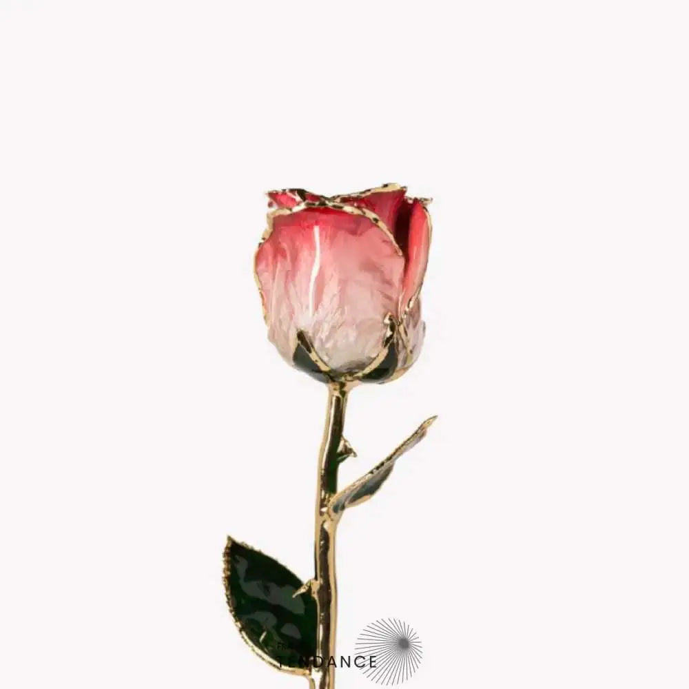 Rose En Or Blanche Et | France-Tendance