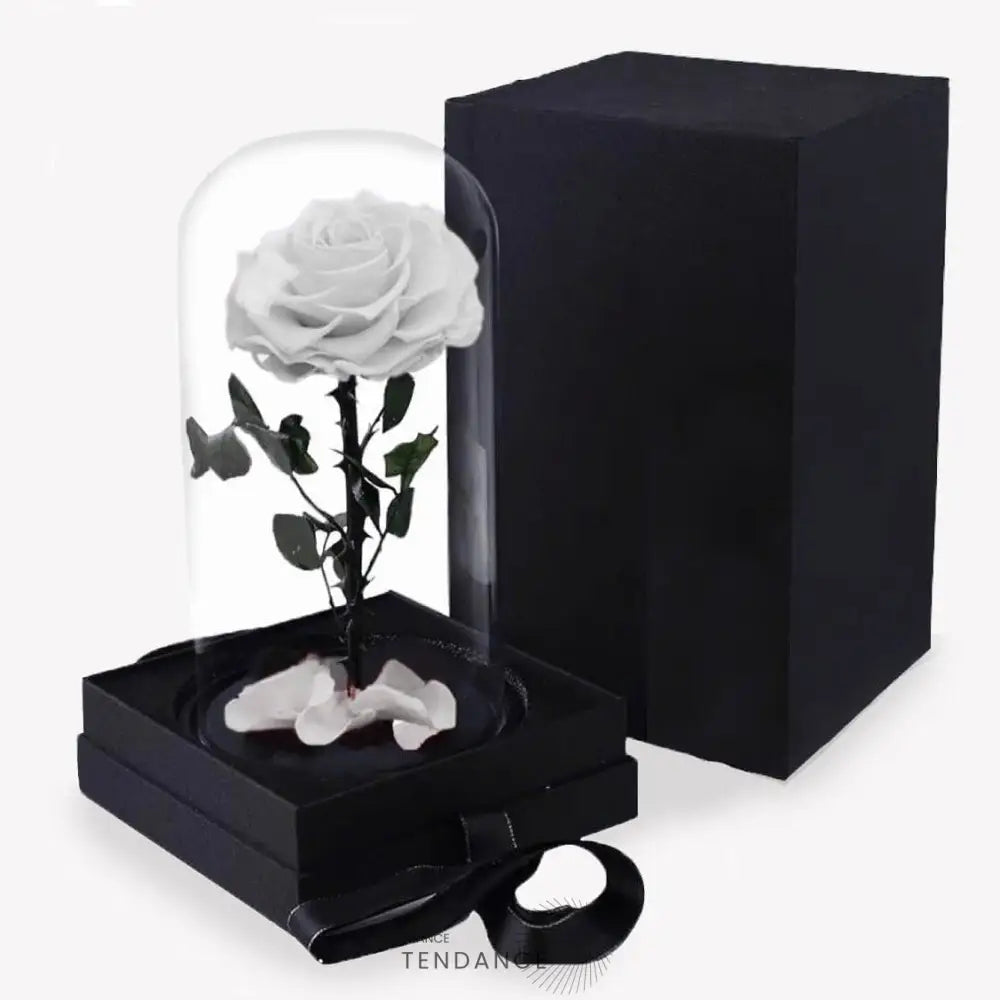 Rose éternelle Blanche En Boîte | France-Tendance