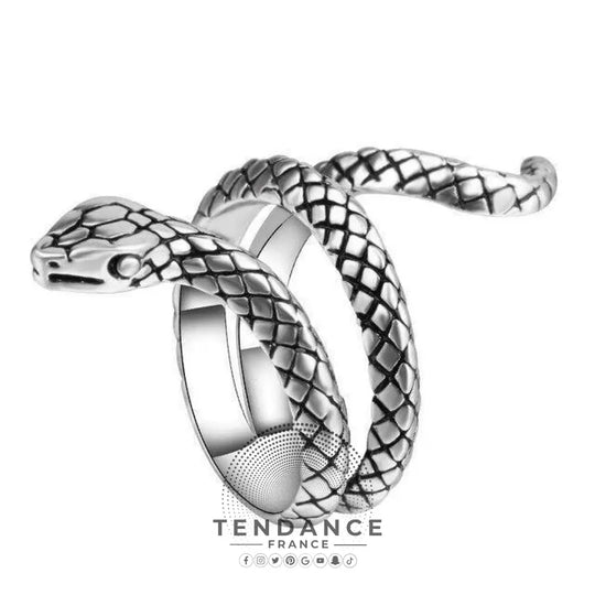 Bague Dark Snake | France-Tendance