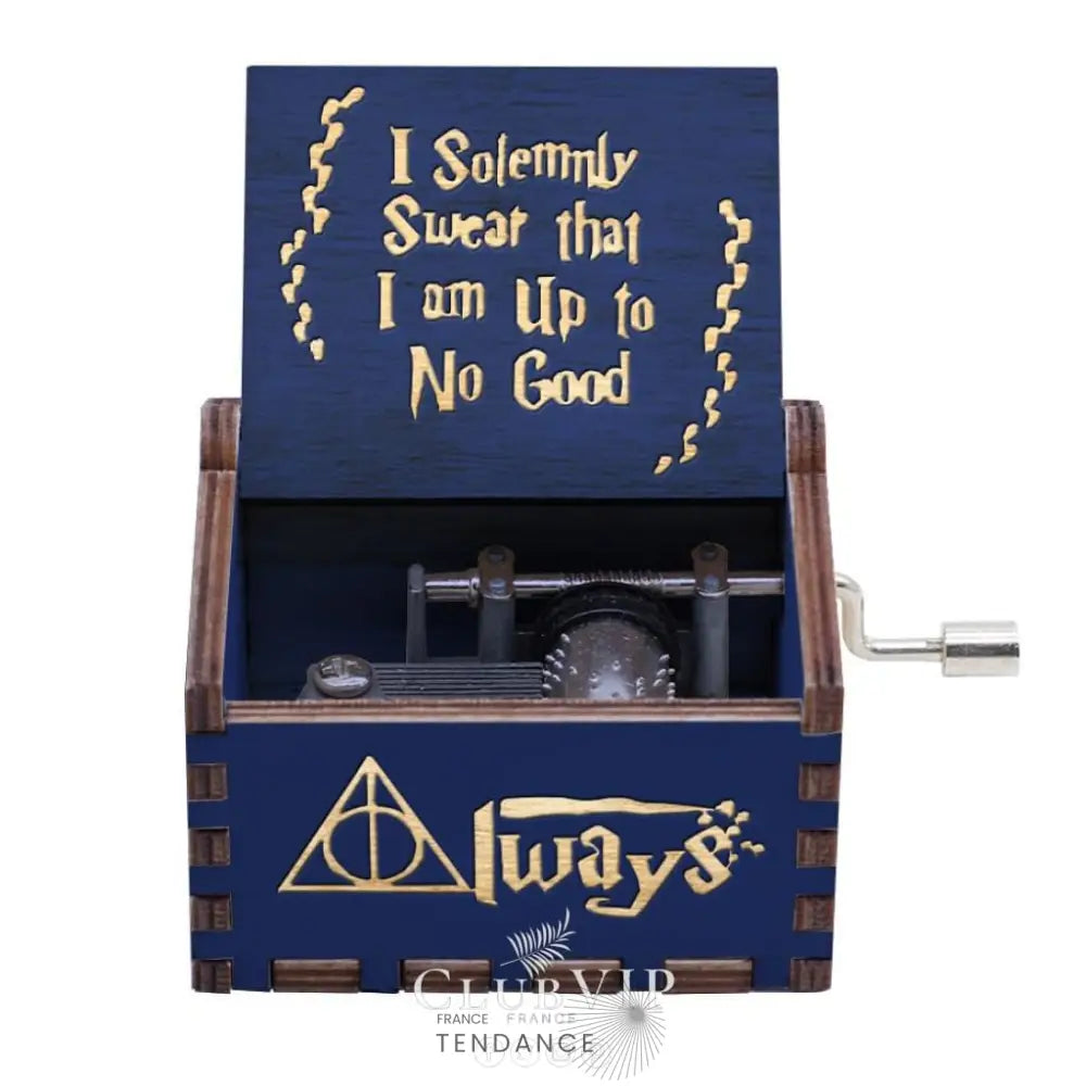 Boîtes à Musique En Bois Naturel | Cinéma Mangas Jeux Vidéos