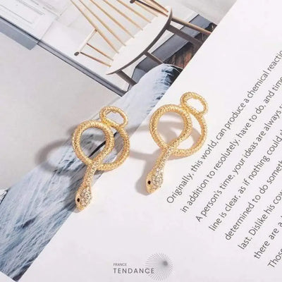 Boucles D’oreille Serpent | France-Tendance