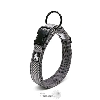 Collier Lumineux Réfléchissant Pour Chien | France-Tendance