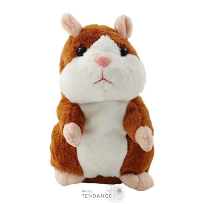 Hamparrot© Le Hamster Parlant! | France-Tendance