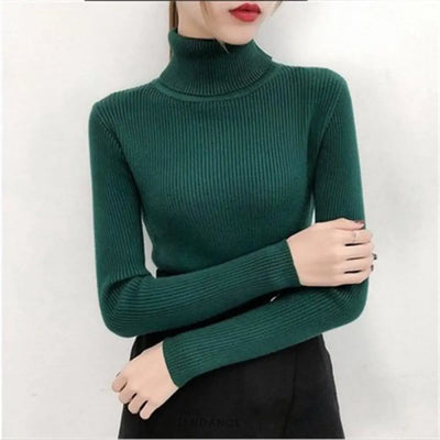 Pull Tricoté à Col Roulé | France-Tendance