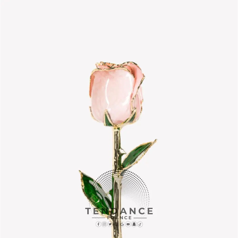 Rose En Or | France-Tendance