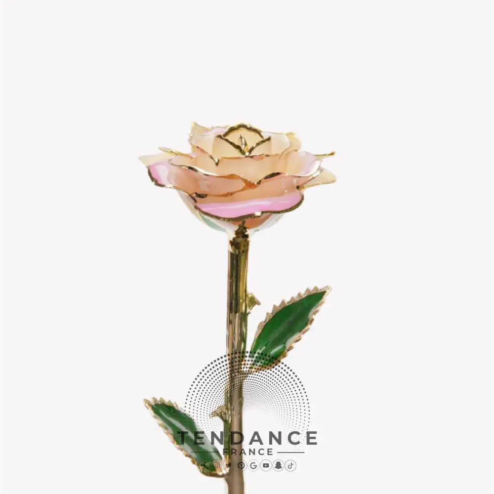 Rose éternelle En Or Blanche Et | France-Tendance