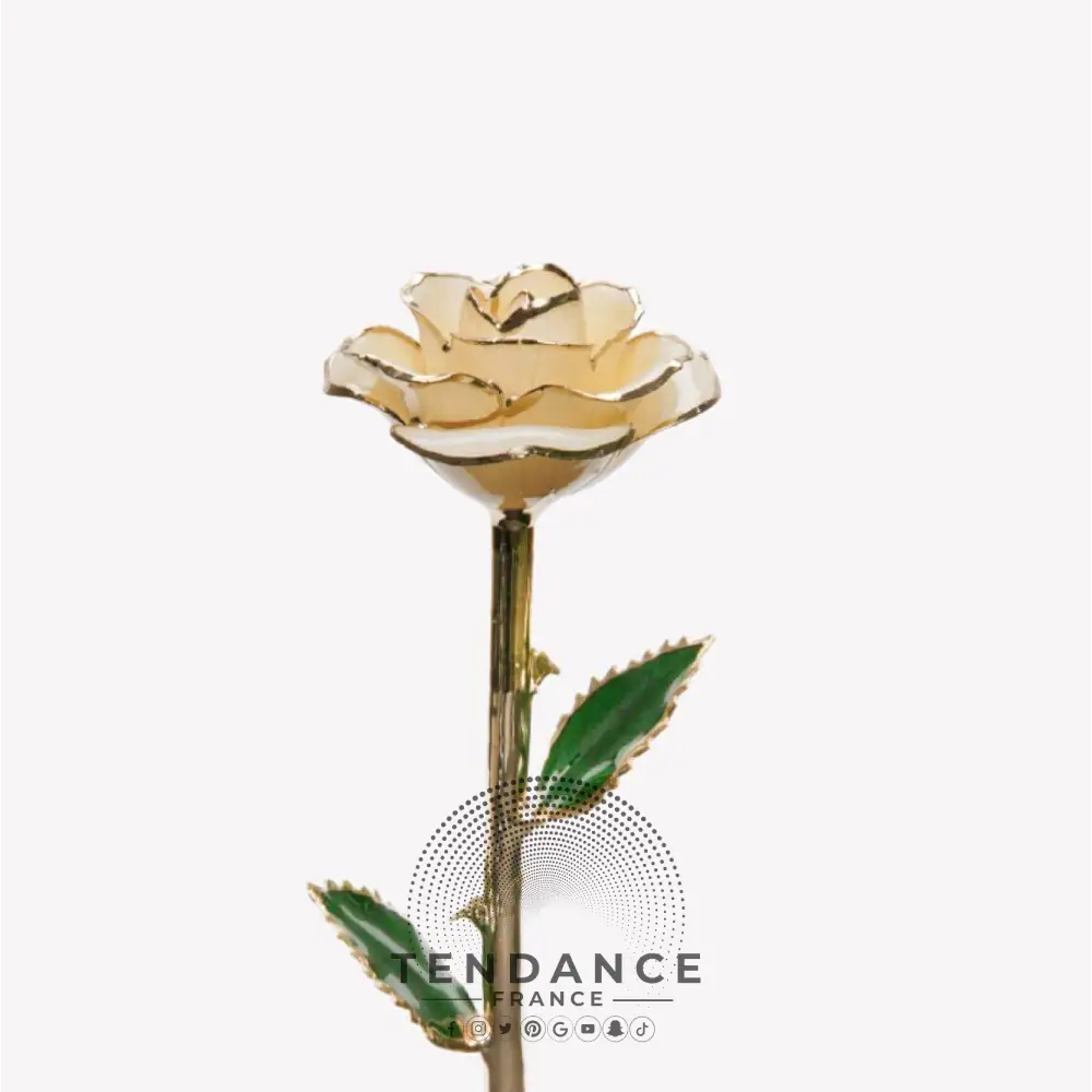 Rose éternelle En Or Blanche | France-Tendance